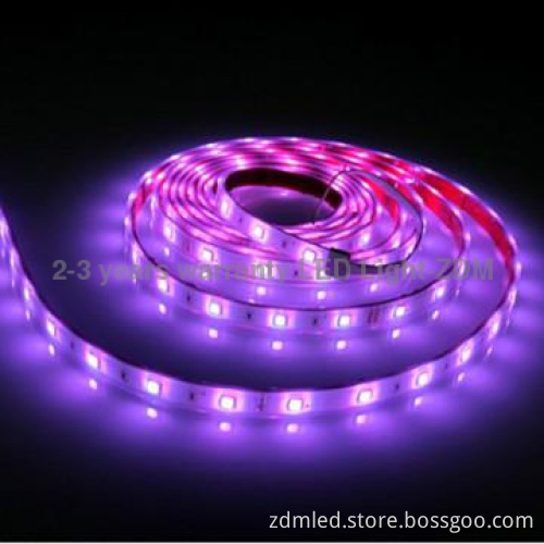 high waterproof 12v&24v patio light strings